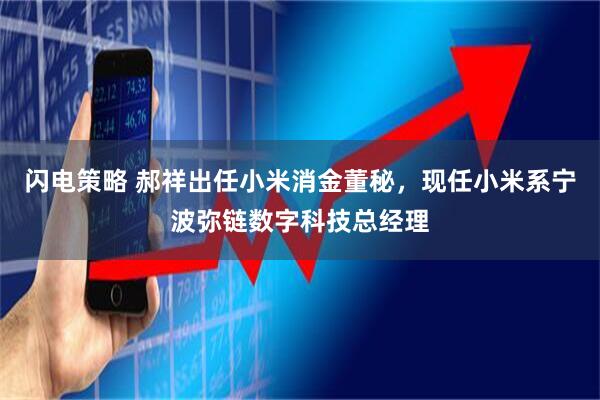 闪电策略 郝祥出任小米消金董秘，现任小米系宁波弥链数字科技总经理