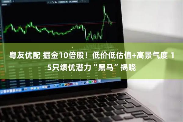 粤友优配 掘金10倍股！低价低估值+高景气度 15只绩优潜力“黑马”揭晓