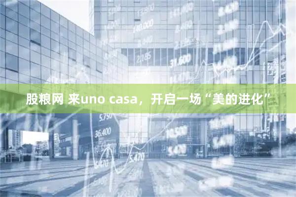 股粮网 来uno casa，开启一场“美的进化”