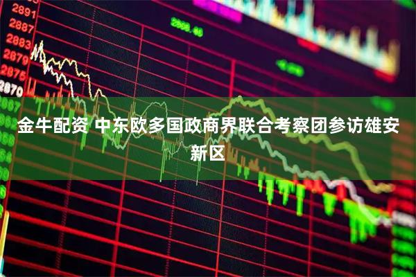 金牛配资 中东欧多国政商界联合考察团参访雄安新区