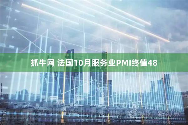 抓牛网 法国10月服务业PMI终值48