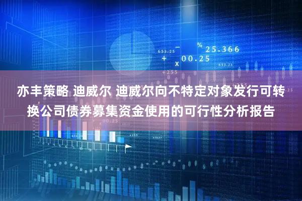亦丰策略 迪威尔 迪威尔向不特定对象发行可转换公司债券募集资金使用的可行性分析报告